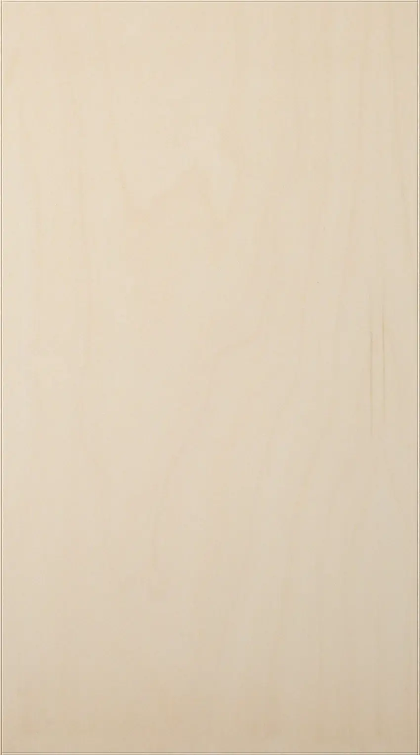 Birch veneer lacquered door TP26P B1 Puustelli Miinus