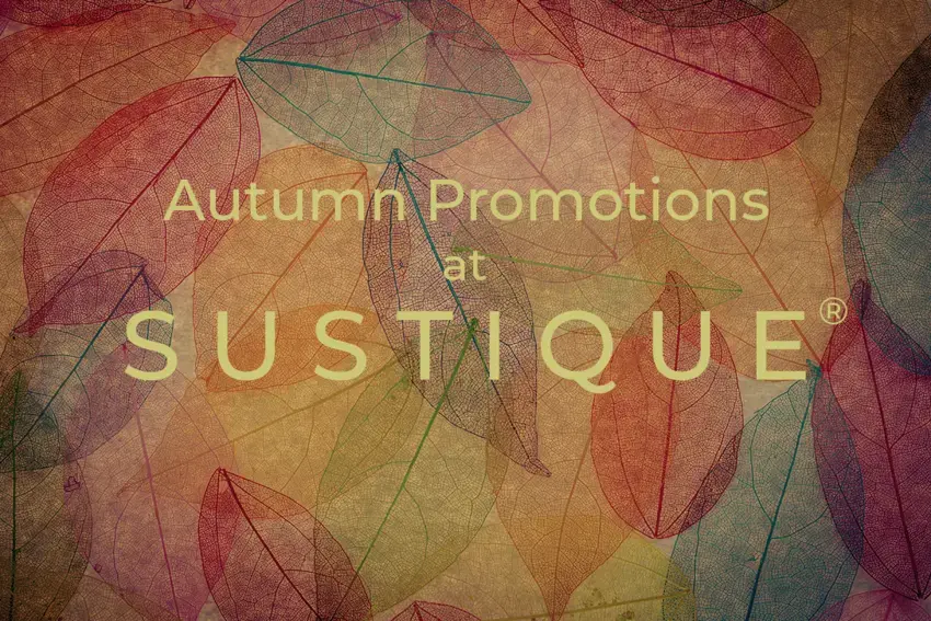 sustique Atumn 2025 pomotions banner