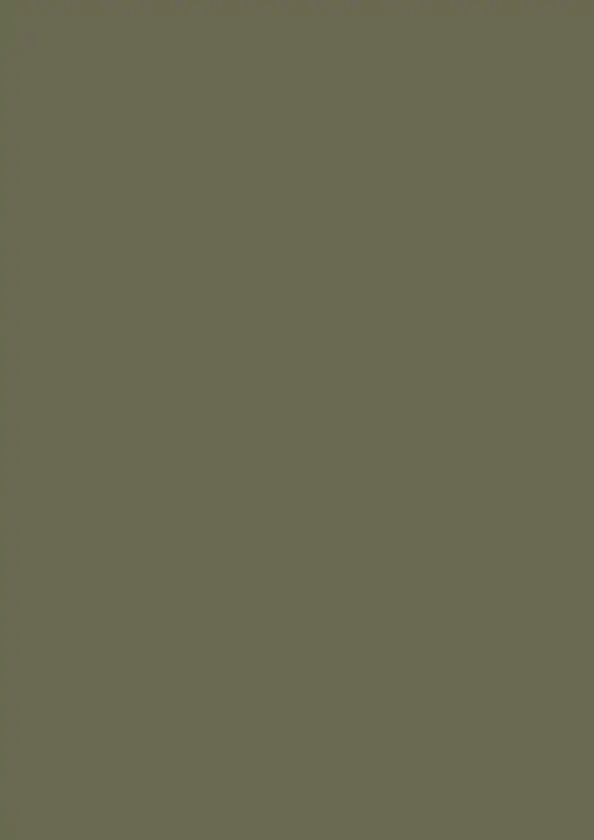 egger agave green u645 st9 - sustique engineered finish option
