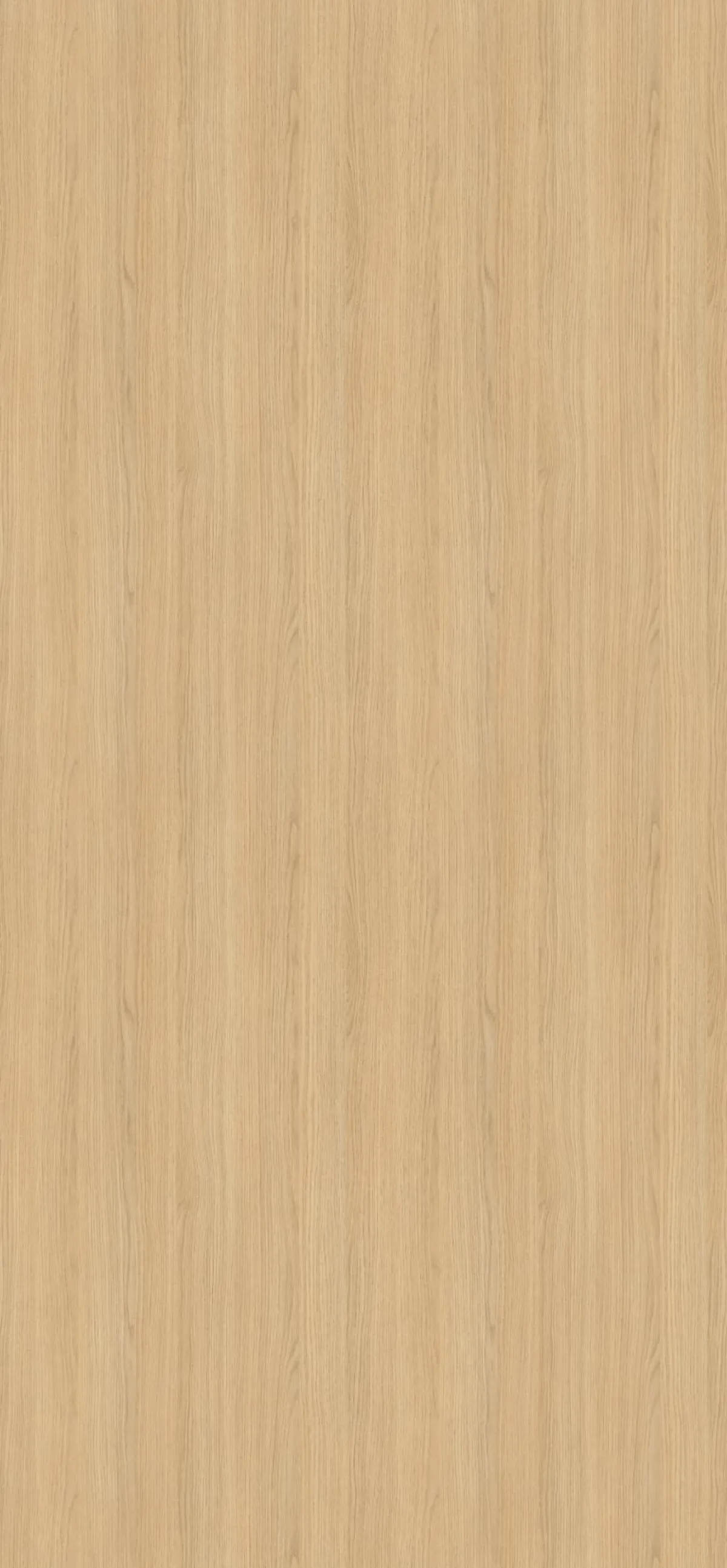 Egger H3157 Vicenza Oak decor board swatch