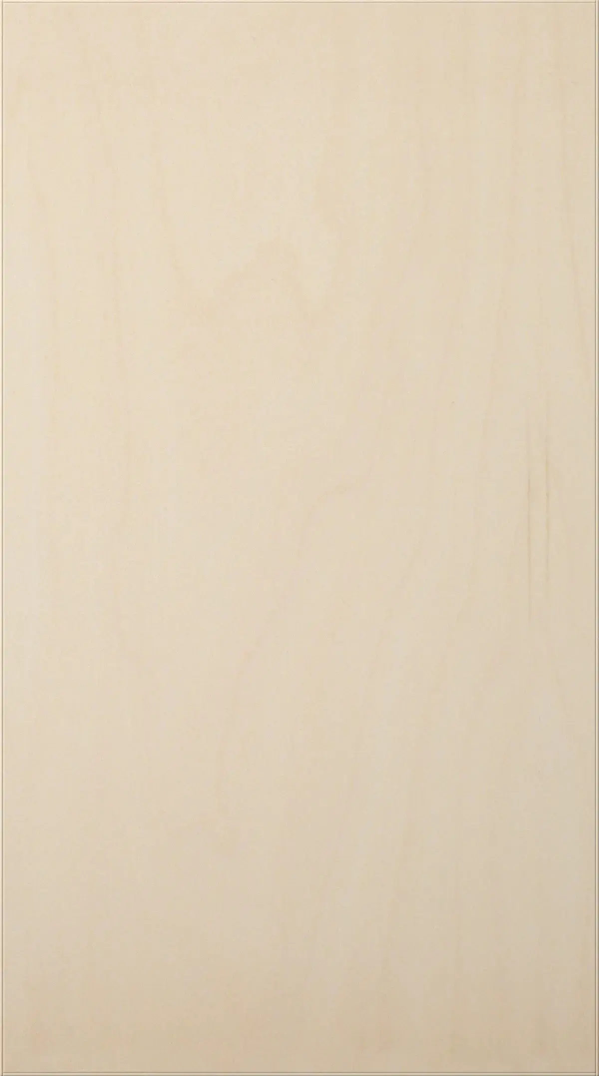 Birch veneer lacquered door TP26P B1 Puustelli Miinus