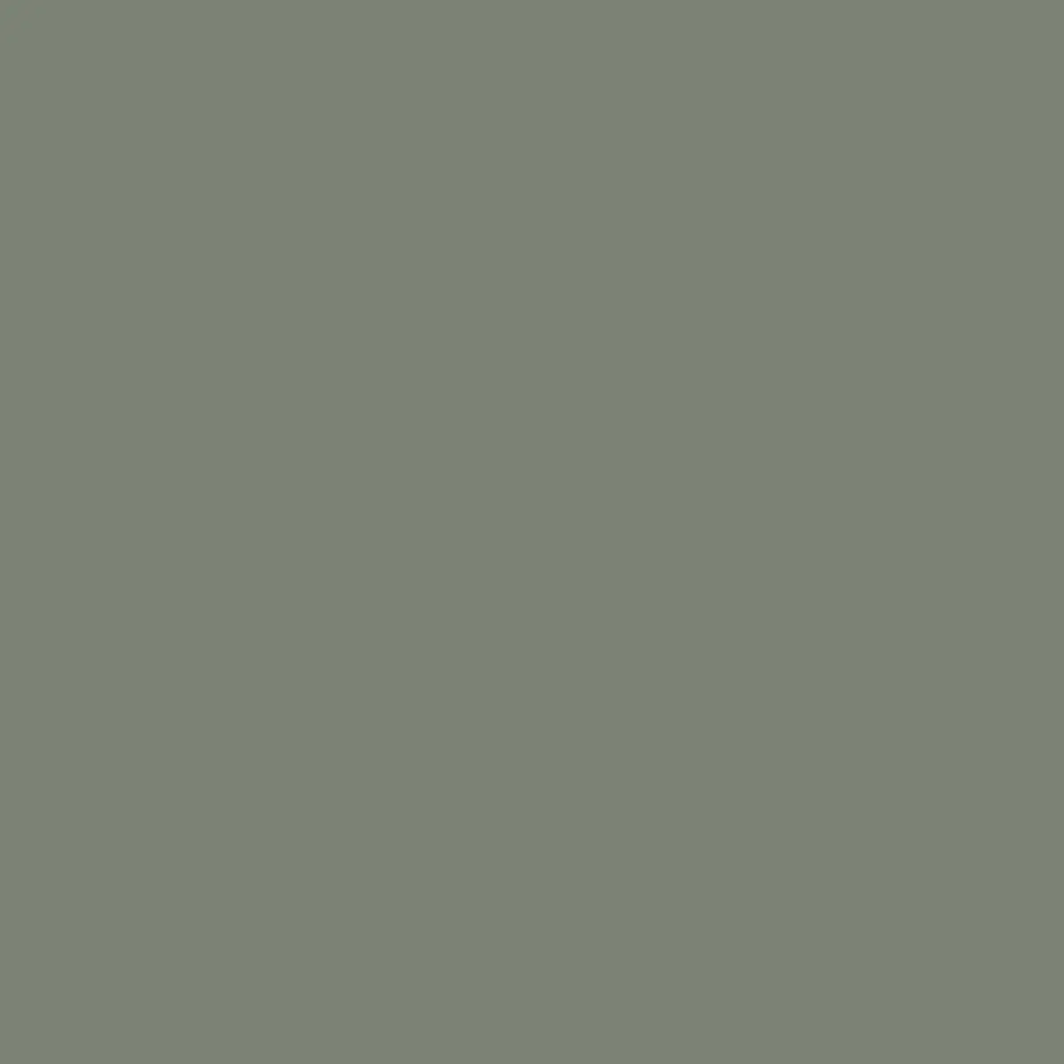 RAL7033 Cement Grey colour example